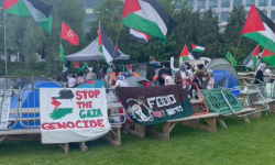 UCD denies financial ties with Israel amid Gaza protest